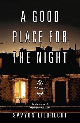A Good Place for the Night: Stories (Paperback)