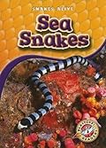 Sea Snakes