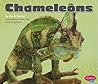 Chameleons (Reptiles) Chameleons (Reptiles)