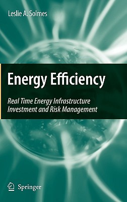 Energy Efficiency: Real Time Energy Infrastructure Investment and Risk Management (Hardcover)
