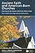 Ancient Faith and American-Born Churches: Dialogues Between Christian Traditions (Faith and Order Commission Theological)