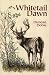 Whitetail Dawn by Duncan Dobie