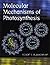 Molecular Mechanisms of Pho...