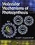 Molecular Mechanisms of Photosynthesis