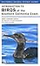 Introduction to Birds of the Southern California Coast
