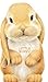 Little Bunny (Look at Me Books)