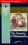The Practice of Mahamudra by Drikung Kyabgon Chetsang The Practice of Mahamudra by Drikung Kyabgon Chetsang