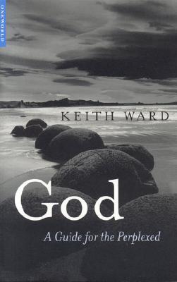 God: A Guide for the Perplexed (Paperback)