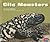 Gila Monsters by Joanne Mattern