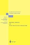 Metric Spaces of Non-Positive Curvature by Martin R. Bridson