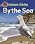 Nature Walks: By the Sea