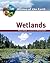 Wetlands by Richard Garratt