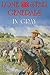 Lone Star Generals in Gray by Ralph A. Wooster