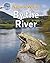 Nature Walks: By the River