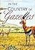 In the Country of Gazelles