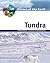 Tundra by Peter D. Moore