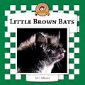 Little Brown Bats