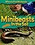 Minibeasts in the Soil (Where to Find Minibeasts)