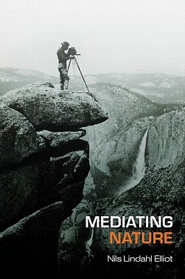 Mediating Nature: Environmentalism and Modern Culture (International Library of Sociology (Paperback))
