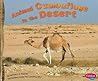 Animal Camouflage in the Desert (Pebble Plus: Hidden in Nature) Animal Camouflage in the Desert (Pebble Plus: Hidden in Nature)