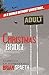The Christmas Bridge by Brian Spaeth