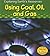 Using Coal, Oil, and Gas (Exploring Earth's Resources)