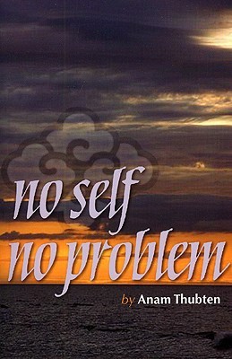 No Self No Problem: Awakening to Our True Nature (Paperback)