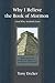 Why I Believe the Book of Mormon: And Why Anybody Can
