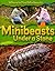 Minibeasts Under a Stone (Where to Find Minibeasts)