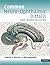 Common Neuro-Ophthalmic Pitfalls: Case-Based Teaching (Cambridge Medicine (Paperback))