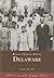Delaware (Black America Series)
