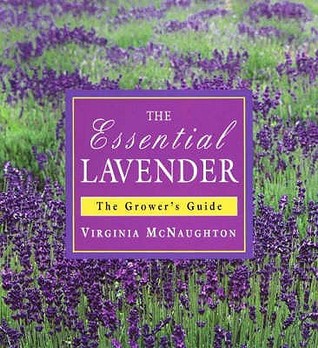 Essential Lavender : The Grower's Guide (Hardcover)