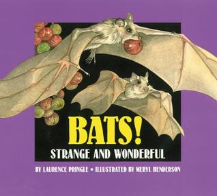 Bats!: Strange and Wonderful (Hardcover)