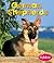 German Shepherds (Dogs Library)