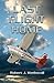 Last Flight Home by Robert J. Wetherall