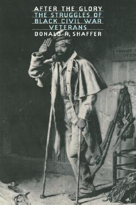 After the Glory: The Struggles of Black Civil War Veterans (Hardcover)