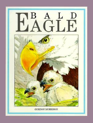Bald Eagle (Hardcover)