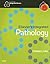 Elsevier's Integrated Pathology by Thomas C. King