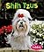 Shih Tzus (Dogs Library)