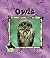 Owls