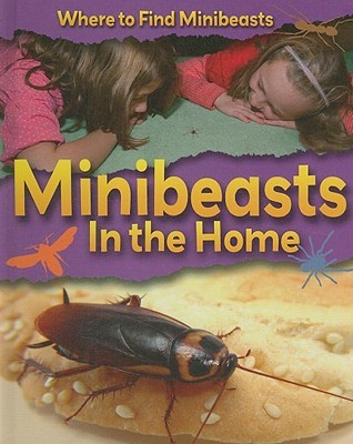 Minibeasts in the Home (Where to Find Minibeasts)