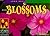 Plant Blossoms (Look Once, Look Again Science Series)