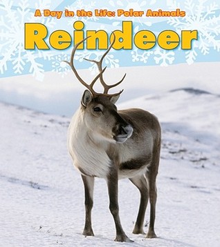 Reindeer (Heinemann Read and Learn Level K: A Day in the Life: Polar Animals)