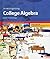 Investigating College Algebra with Technology, Student CD-ROM with Access Code Card