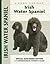 Irish Water Spaniel (Comprehensive Owner's Guide)