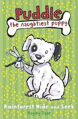 Rainforest Hide and Seek (Paperback)