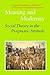 Meaning and Modernity: Social Theory in the Pragmatic Attitude