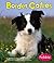 Border Collies by Rebecca Stromstad Glaser
