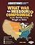 What Was the Missouri Compromise?: And Other Questions about the Struggle over Slavery (Six Questions of American History)