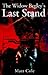 The Widow Begley's Last Stand by Matthew  Cole